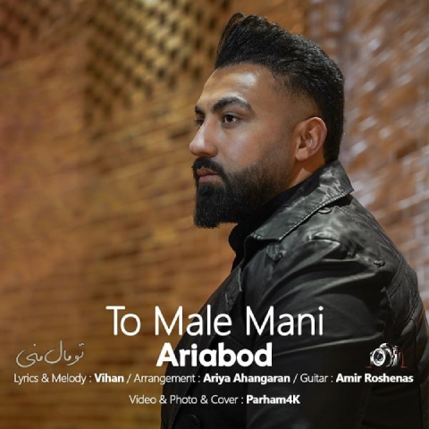 دانلود آهنگ آریابد به نام تو مال منی