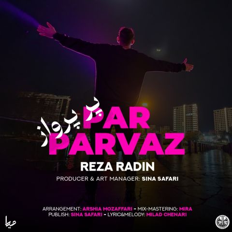 دانلود آهنگ رضا رادین به نام پر پرواز