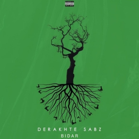 دانلود آهنگ بیدار به نام درخت سبز
