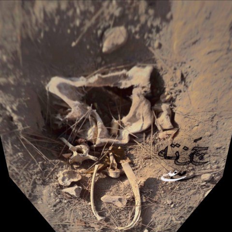 دانلود آهنگ چَنتِه از علی